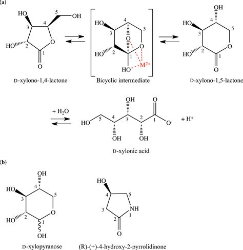 Three‐dimensional Structure Of Xylonolactonase From Caulobacter