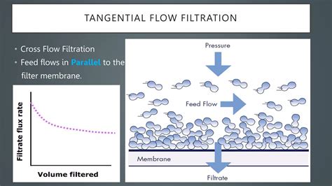 Tangential Flow Filtration Pptpptx