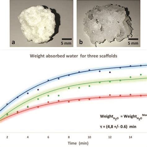 Macroscopic View In Dry A And Wet B Conditions Of PVA Scaffold At