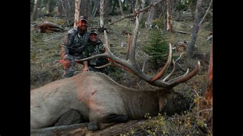 Wyoming Wilderness Elk Hunt 2 Big Bulls Youtube