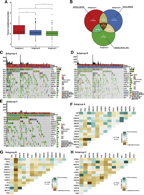 Mutation Landscape Among Subgroups A B And C A Box Plot Showing