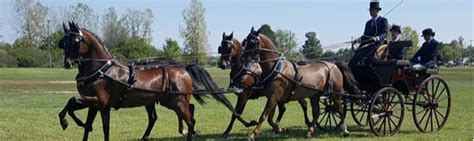 The National Drive at Hoosier Horse Park