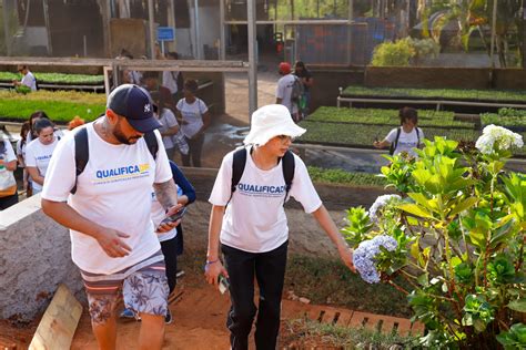 Alunos Do Qualificadf Aprendem Sobre Cultivo De Plantas Em Viveiro