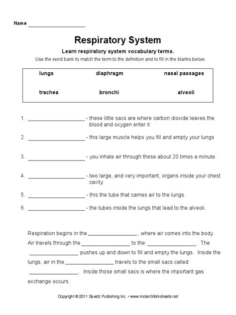 Respiratory System Worksheet Fill In Pdf Worksheets Library