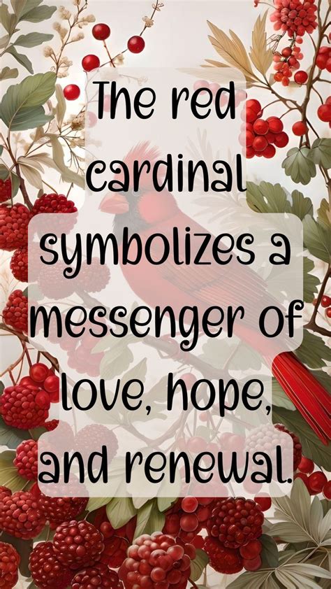 Northern Cardinal Bird Lovers Ts Cardinal Northern Cardinal