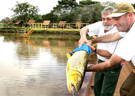 Boteko Vermelho Governo Lula Como O Fomento Pesca Acabou Gerando