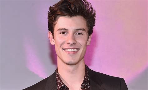 Shawn Mendes Comments About His Sexuality And Anxiety Are Honestly So Intense