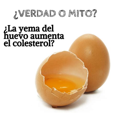 Verdad O Mito ¿la Yema Del Huevo Aumenta El Colesterol By Themagafit