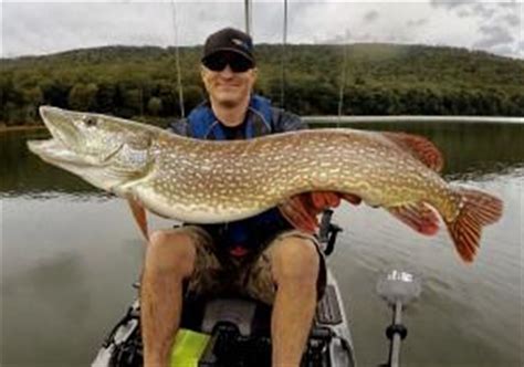 Fishing Report Ten Fish Caught In Two Hours Off The North Shore