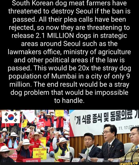 South Korean dog meat farmers have threatened to destroy Seoul if the ban is passed. All their ...