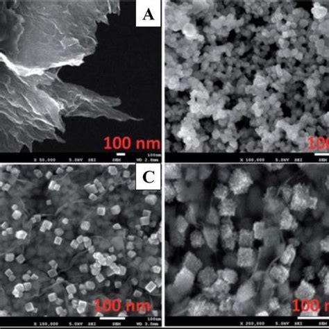 Fe Sem Images Of The Rgo Sheets A Co O Nanocubes B Rgo Co O C