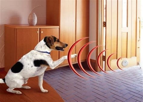ЭЛЕКТРОННЫЕ ЗАБОРЫ - Беспроводной невидимый забор для дома «Pet Manager ...