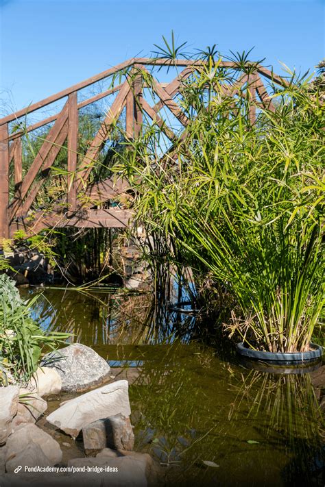 22 Inspiring Pond Ideas with Bridges to Enhance Your Outdoor Space