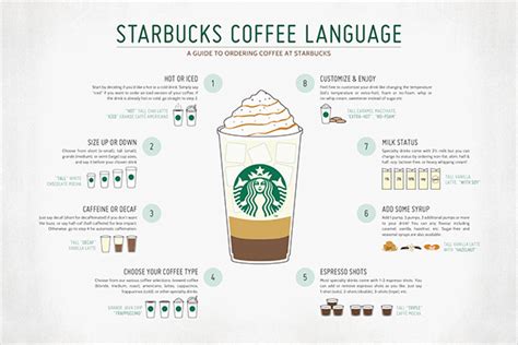 Coffee Ordering Guide Behance