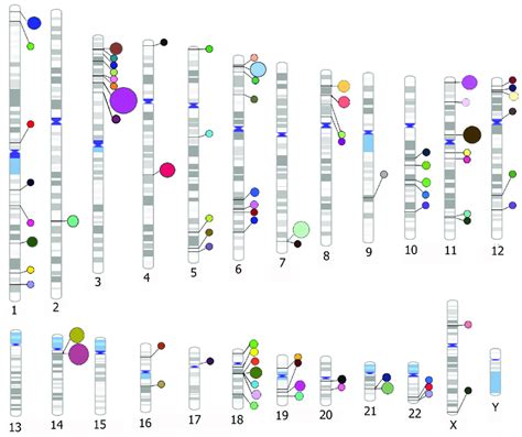 Genomic Positions Of Genes Harboring The Variants Associated With CVDs