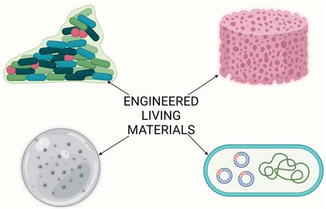 Jove Methods Collection Current Methods In Engineered Living Materials