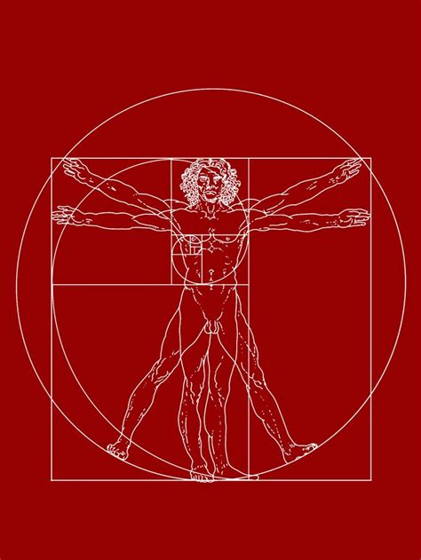 Vitruvian Mangolden Ratiored Human Animation Golden Ration Golden