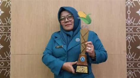 Tanam Jagung Di Pekarangan Kelurahan Duser Juara 1 Lomba Pekarangan Di