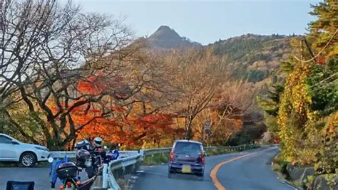 筑波山・山麓の紅葉名所、2024年紅葉見頃情報茨城vrツアー