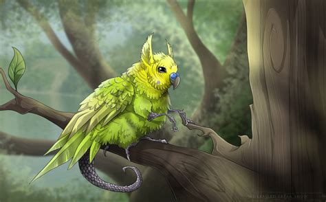 Budgie Griffin By Derailedfreakshow On Deviantart