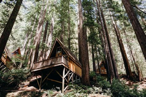 Waterfall Lodge and Retreat Weddings in Ben Lomond, California / Santa ...