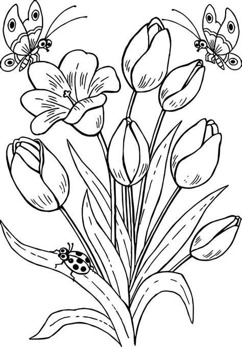 Desenhos De Flor De Tulipas 7 Para Colorir E Imprimir ColorirOnline