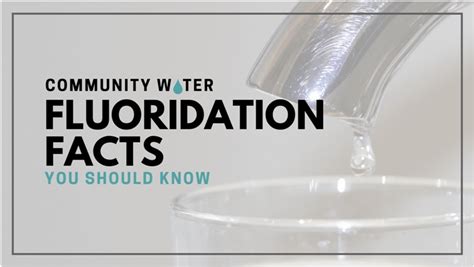 Community Water Fluoridation Facts You Should Know Wanderglobe