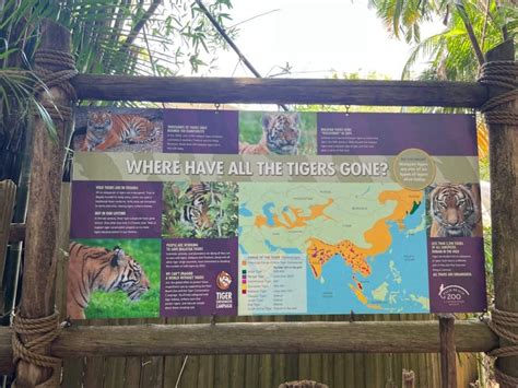 10 Ways to Explore the Palm Beach Zoo in West Palm Beach, Florida ...