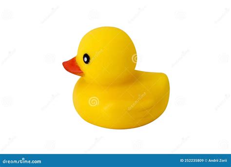 Yellow Rubber Duck Isolated On White Background Yellow Rubber Duck