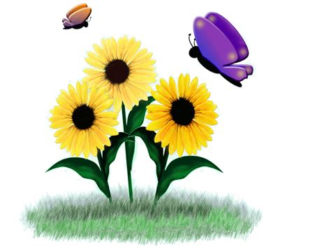 Animated Sunflower Clip Art Desktop Background - Sunflower - 864x648 ...