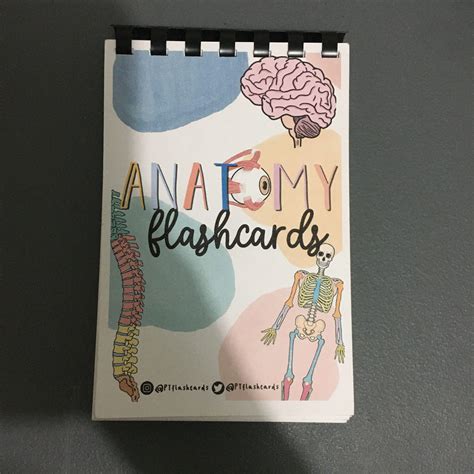 Anatomy Flashcards Pt Flashcards Hobbies Toys Books Magazines