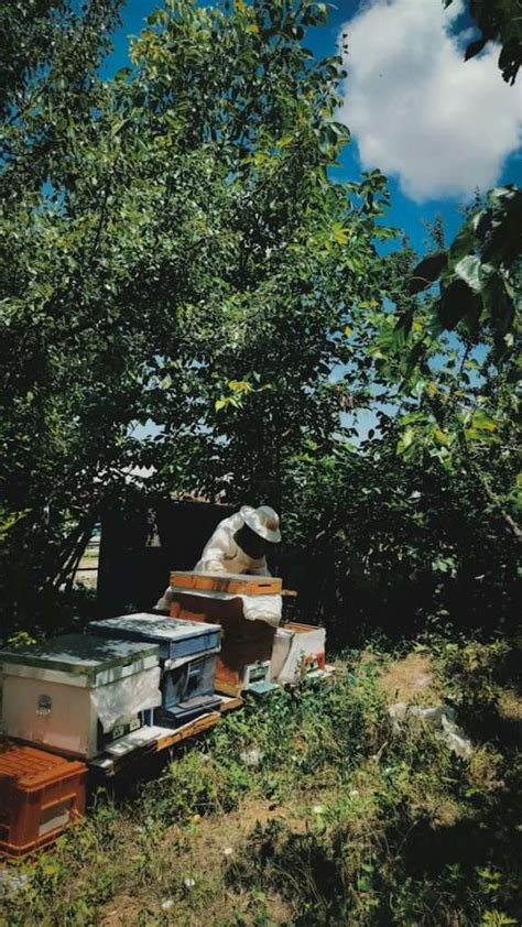 Beekeeping Calendar: A Guide to Year-Round Beekeeping – Buzz Beekeeping ...