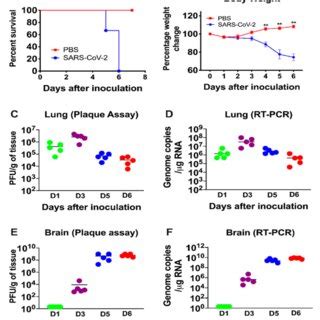 Analysis Of Survival Body Weight And Virus Titers In K18 HACE2 Mice