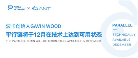 波卡创始人gavin Wood：平行链将于12月在技术上达到可用状态 哔哩哔哩