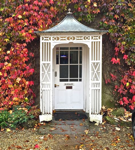 Small White French Door with Ivy Wall