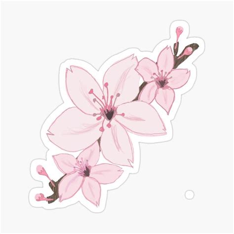 Cute Pink Cherry Blossoms Sticker By Honestblossom In 2021 Cherry