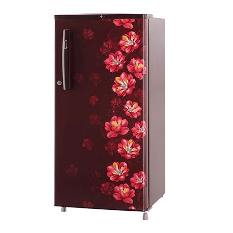 Buy LG 185 Litres 1 Star Direct Cool Single Door Refrigerator With