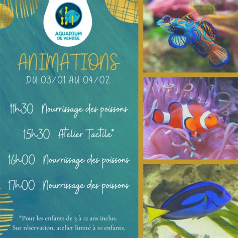 Animations Janvier Aquarium De Vend E