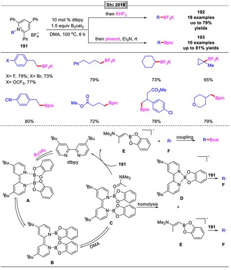 Synthesis Of Alkyl Potassium Trifluoroborate Salts Or Boronic Ester