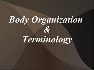 Anatomical Terminology PPT