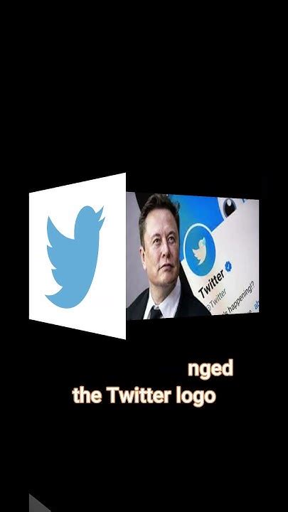 Elon Musk Changed The Twitter 🐦 Logo Shorts Viral Youtube