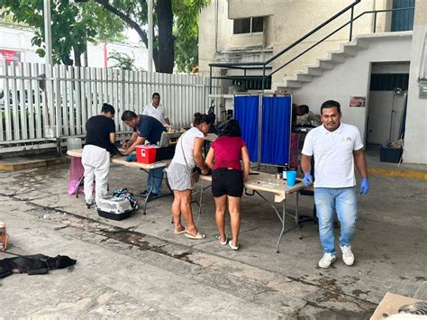 Realiza Gobierno De Abelina L Pez Rodr Guez Jornada De Esterilizaci N