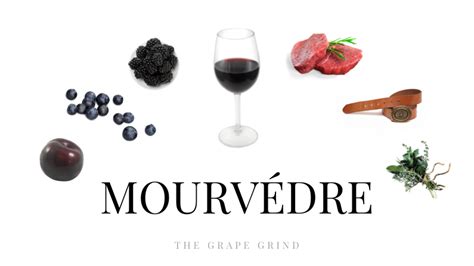 All You Need to Know About Mourvèdre: A Quick Guide | The Grape Grind