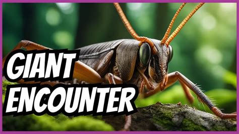 Giant Weta Youtube