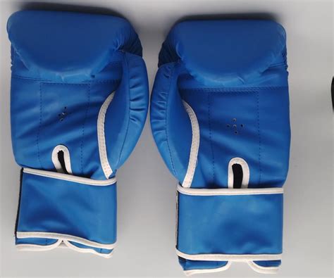 12 Oz Everlast Boxing Gloves Professional Boxing Muay Thai Training