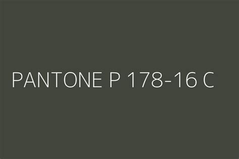 Pantone P 178 16 C Color Hex Code