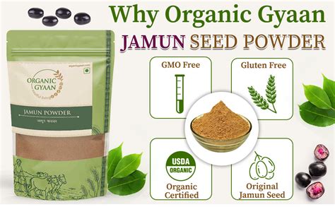 Buy Organic Gyaan Organic Jamun Seed Powder 100gm Pack Of 2 Online At