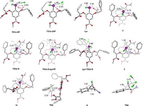 Calculated Geometries Of Transition Structures And Intermediates For