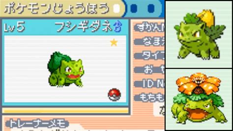 Live Shiny Bulbasaur After Srs Pokemon Firered And Leafgreen