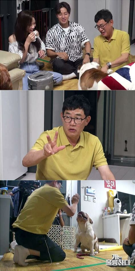 개는 훌륭하다 이경규 강형욱 수제자다운 전문가 포스 뽐내